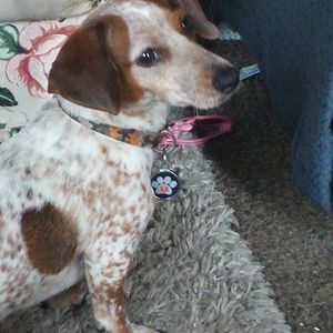 Meet your Posher, Shay